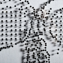 画像をギャラリービューアに読み込む, ピンで描かれたフレームアート|"CARPE DIEM"