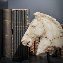画像をギャラリービューアに読み込む, Monti&#39;s Horse Head
